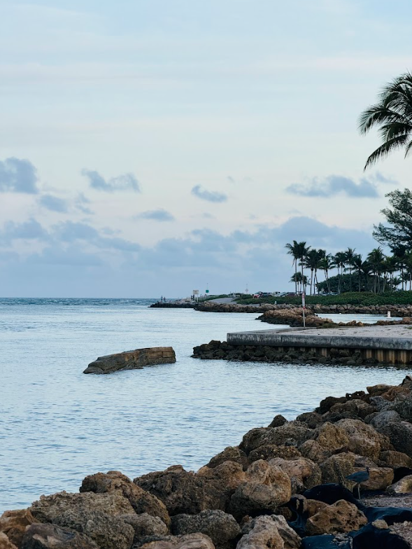 Principal Component Analysis (PCA) Part 2: Machine Learning Interview Prep 15