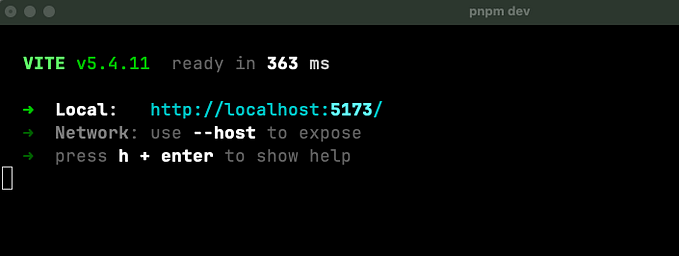 Console output of a running vite project