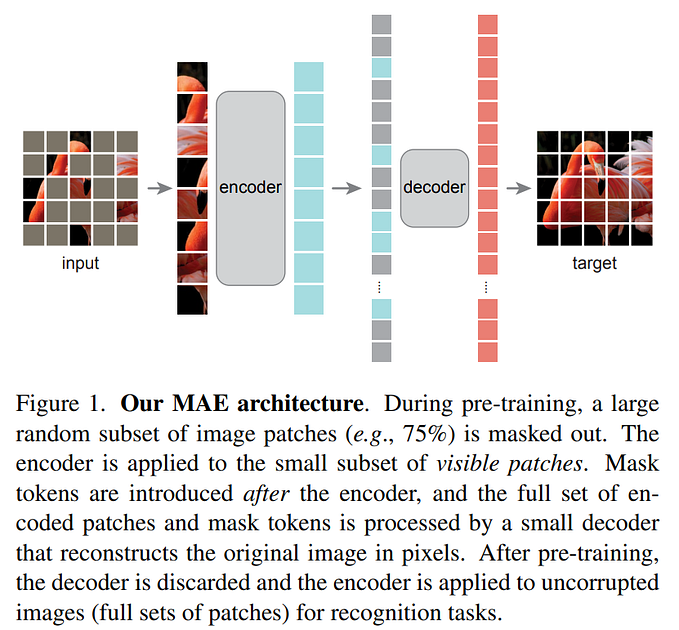 Papers Explained 28: Masked AutoEncoder