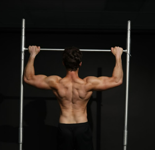 Sciences of Sport  Differences in muscle activity between pull-ups and  chin-ups