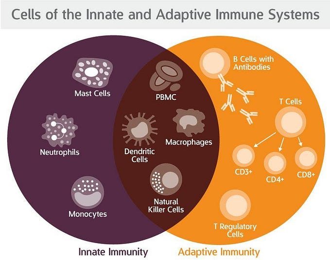 IMMUNOLOGY: Innate & Adaptive Immunity
