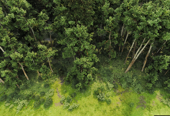 Efficient GPU Rendering for Dynamic Instances in Game Development