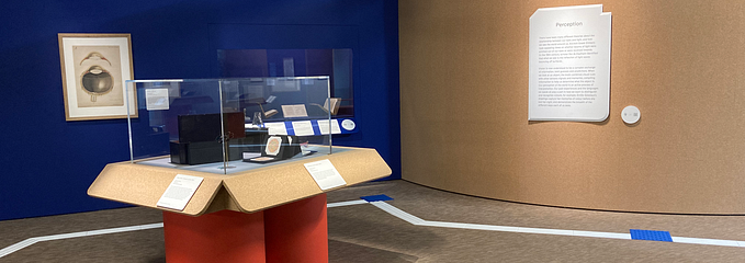 A photograph of the Wellcome Collection “In plain sight” exhibition featuring a glass cabinet on a red stand. The floor shows a brown fabric flooring with tactile tape used to guide those with visual impairments around the installation. The walls are textured with cord board to provide physical feedback for people with visual imparement.