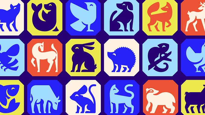 A grid of happy, colorful animals, including a rabbit, porcupine, and chameleon