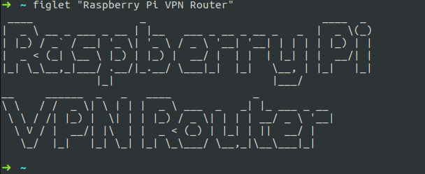 Raspberry Pi VPN Router.
