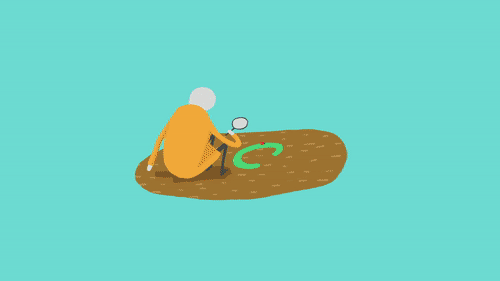The Curious Case of Curiosity in Career Exploration | by Anmol Saini |  Curiousapiens | Medium