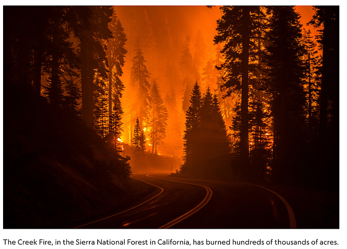 The Wildfire Syllabus