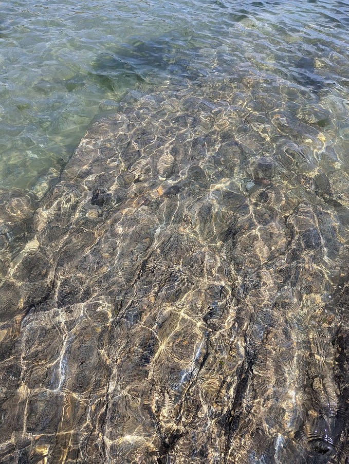 Concepts of quantum computing