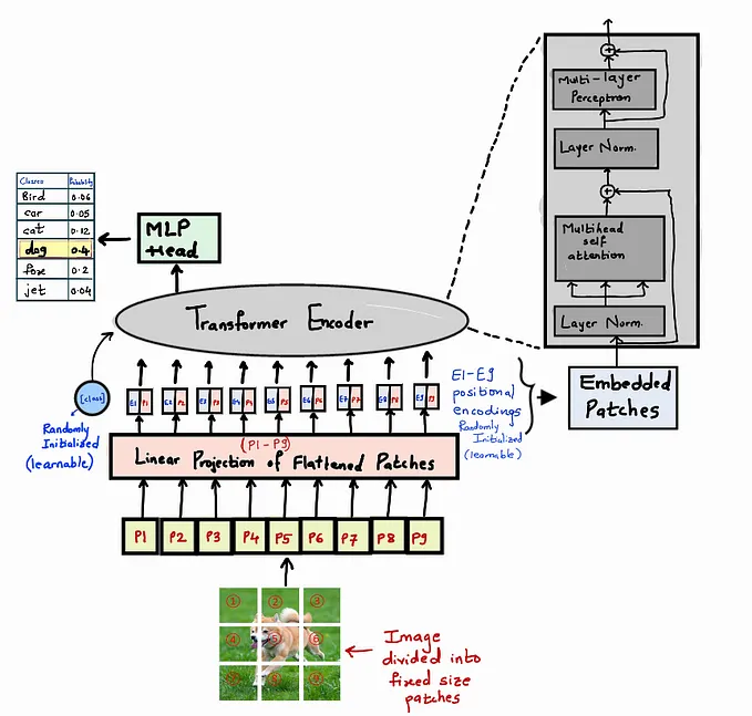 Vision Transformers Explained (Part 2): How Patches Become Tokens