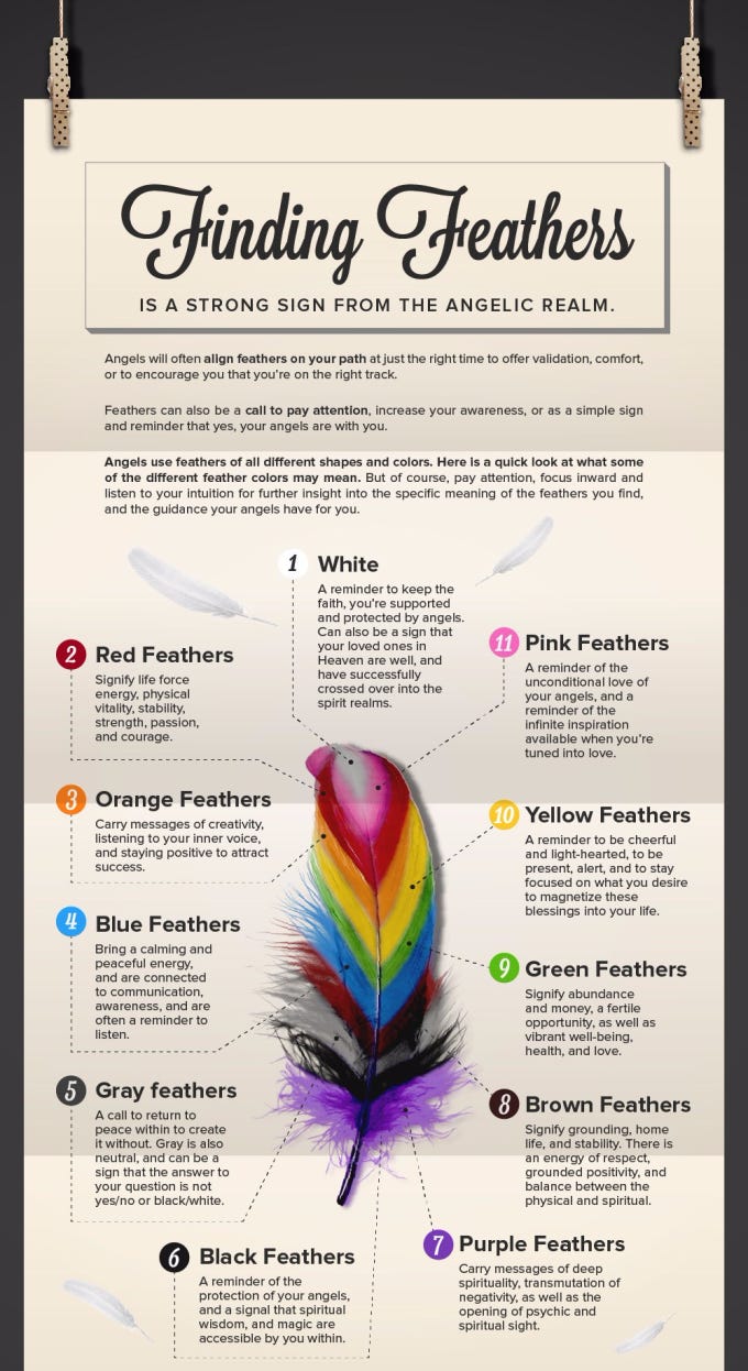 Black Feather Meaning and Symbolism - Color Meanings