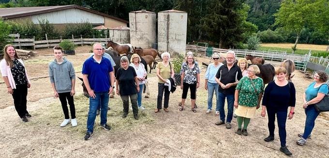 Gutmütig und geradlinig — mit Mulis durch die Region