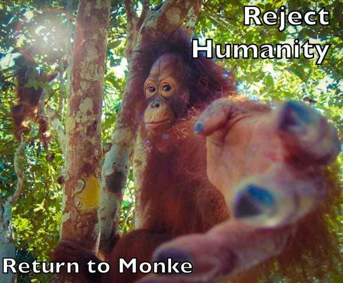 We Will Always Be Apes: Return to Monke, by Kevin Feng