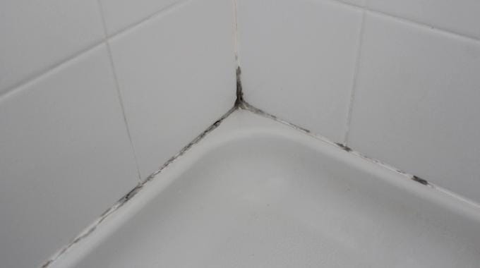 Moississures dans votre salle de bains : comment les éviter ?