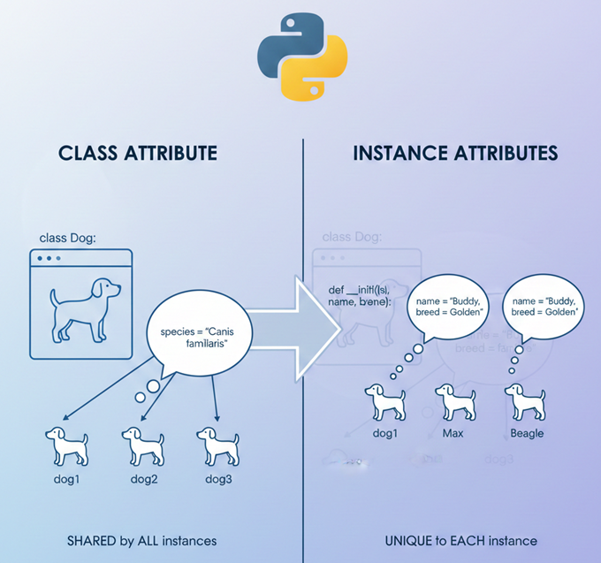 Understanding Class vs. Instance Attributes in Python | by Telman ...
