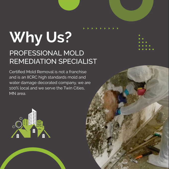 Mold Remediation Certified Mold Removal Restoration Medium