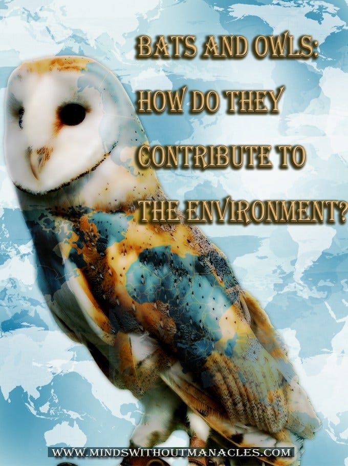How Do Bats and Owls Contribute to the Environment? by EdenMillion