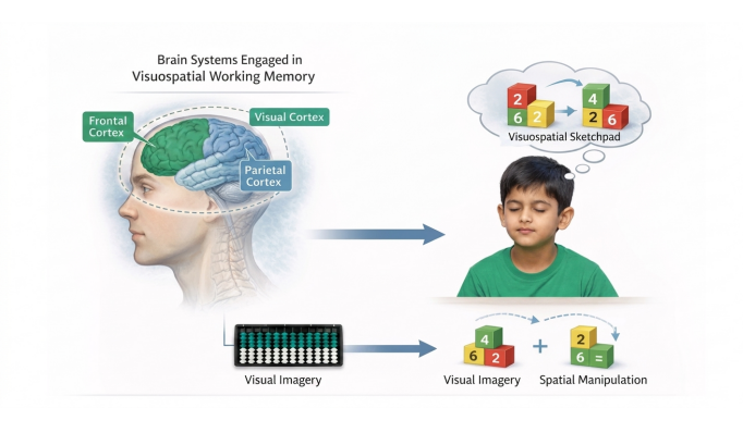 Abacus and Visual Working Memory