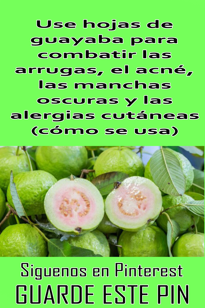 Use hojas de guayaba para combatir las arrugas, el acné, las manchas