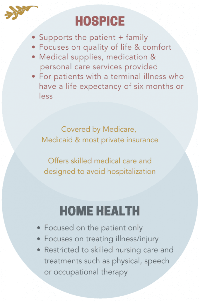 What Does Hospice Care Provide Compassionate EndofLife Support by(08)