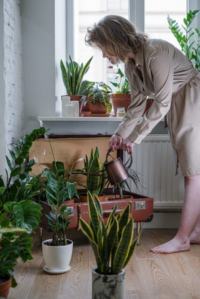 Electroculture Gardening: Shockingly Good for Your Plants, by Marcie Pratt