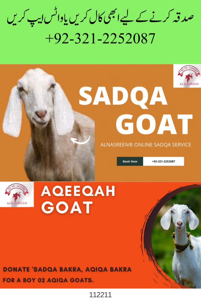 Online Sadqa Bakra Karachi