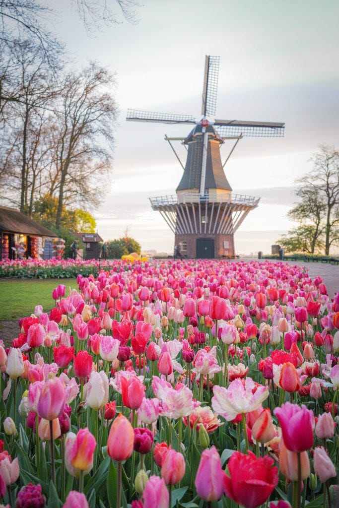 Windmills, Wildflowers, and Diamonds: Exploring Europe by River Cruise Aboard The Debussy — FOLIO.YV