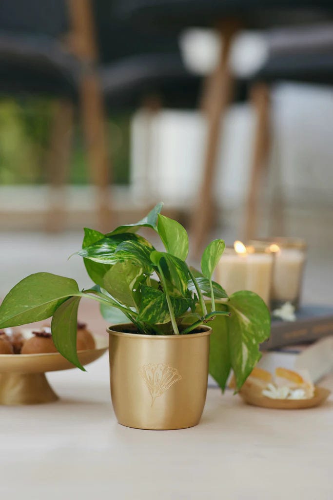 Home Accessories Online Intiki Medium