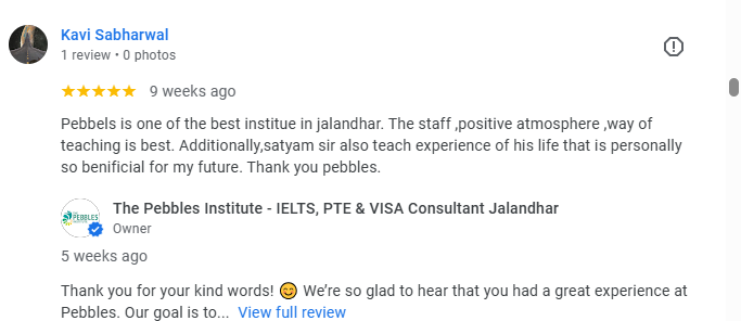 Google Review About Pebbles
