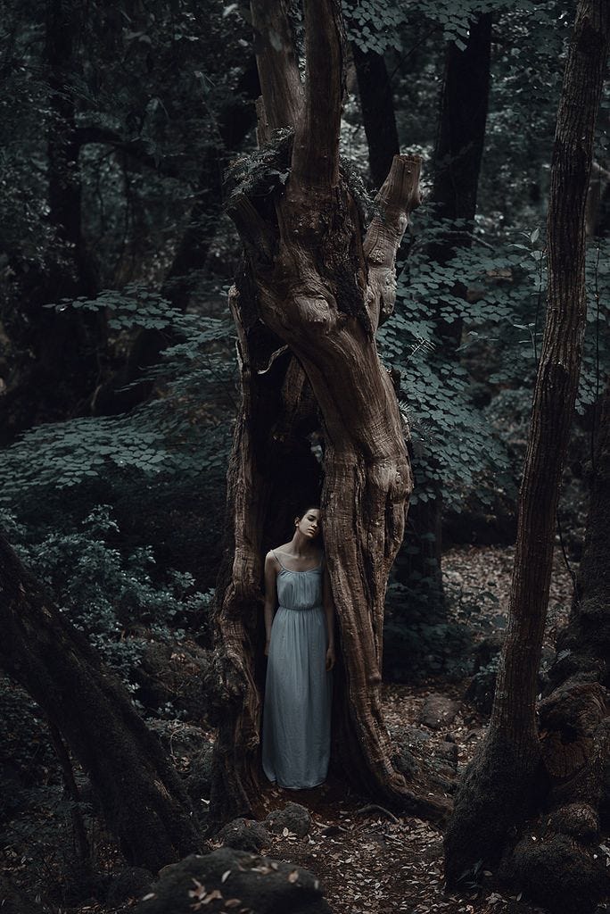 ~ Abracé al frío de otros mundos
y me arropó de sueños en silencio,
ahora, cada madrugada nos…