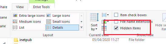 hidden file