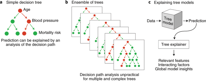 The Art and Science of nTrees in Machine Learning: A Comprehensive ...
