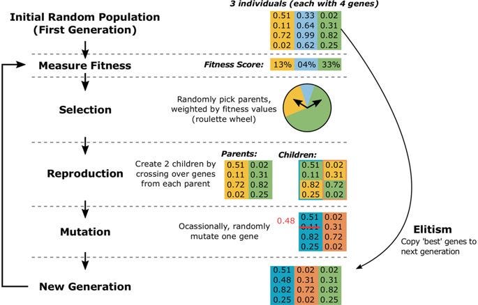 Demystifying Genetic Algorithms to enhance Neural Networks | by Ananya ...
