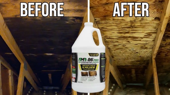 Top 5 Recommended Mold Killing Products: Effective Solutions to Eliminate Mold