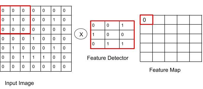 Deep Learning (CNN) — Discover the Breed of a Dog in an Image | by ...