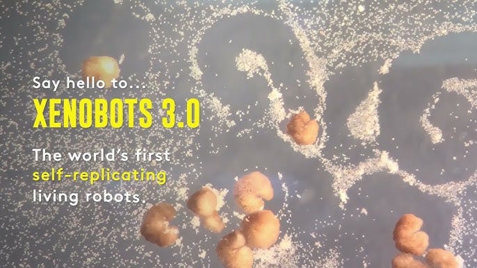 Bio-robot Simulation modelled on Machine Generated outputs and Rigid Actuation