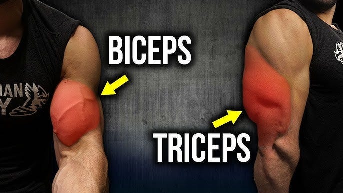 Best Biceps and Triceps Workout Routine for Beginners in the Gym