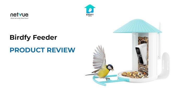 Birdfy Feeder Reviews: A Birdwatcher’s Dream Come True?