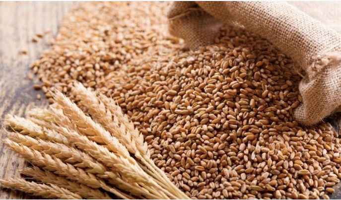 Wheat