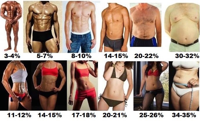 What's Your Ideal Body Fat Percent? | by Ryan Engel | Medium