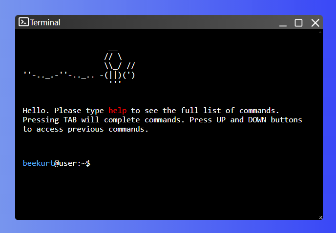 The Process of Building a Terminal-Themed Portfolio with Vanilla ...