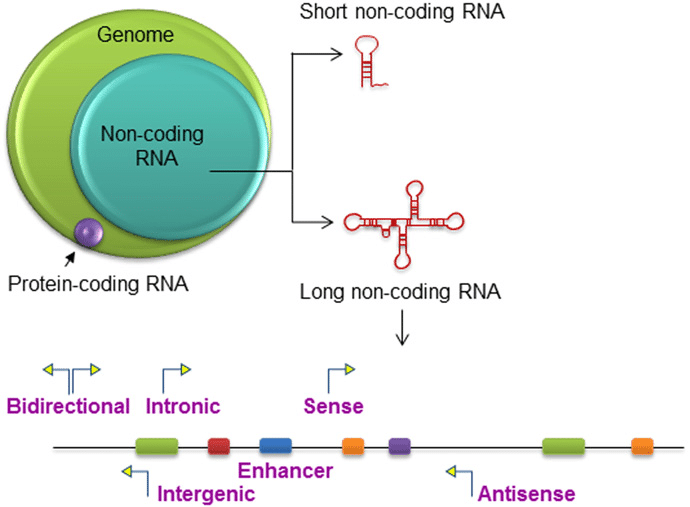 GSoC Journey Part 2- The Problem Statement | by Srijan Verma | Medium