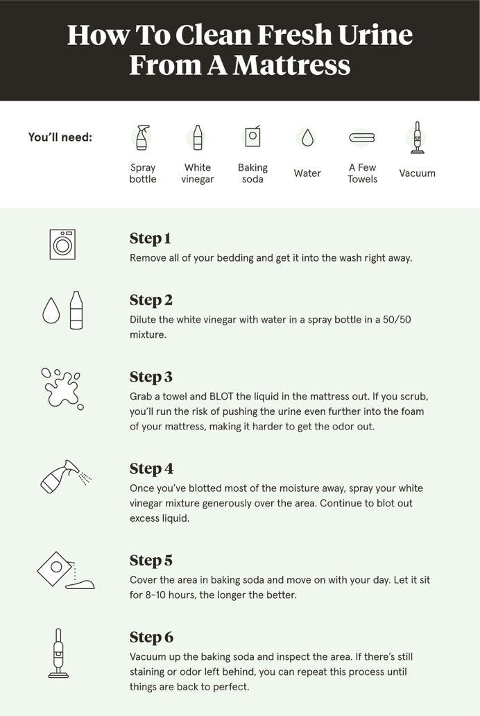 How to Get Pee Out of Mattress Quick & Easy Fixes! by Terrygoodell