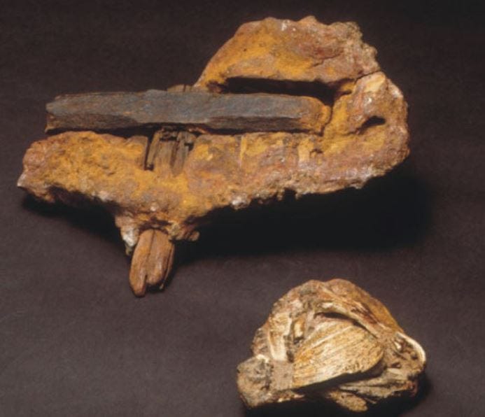 500 Million Year Old Hammer Found In Texas by Johnmoonerchief Medium