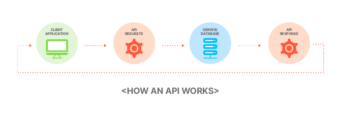 #14. API(Application Programming Interface)란 | by Twolinecode ...