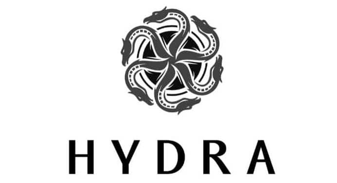 INTRODUCTION TO HYDRACHAIN