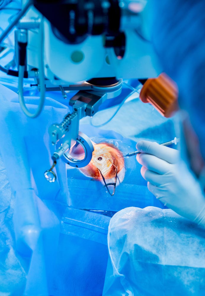 Phaco Training