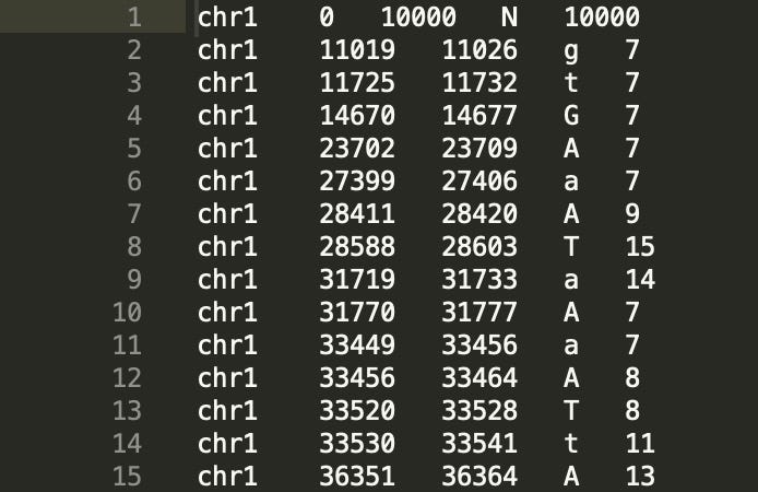 Homopolymers (Repeats) — ERRROR, EROR, ERROR? | by TheSNPingTool | Medium
