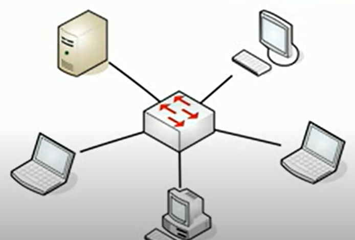 Types of Network Topology