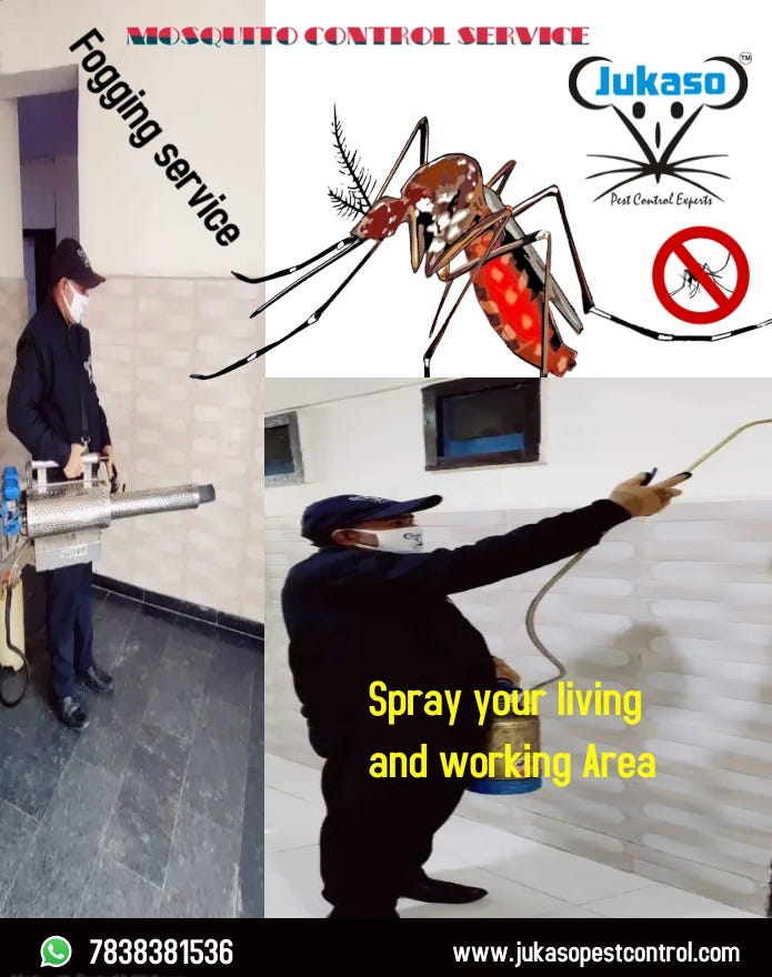 What colors are mosquitoes, bugs attracted to and not attracted to