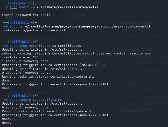 Postman Step by Step guide for Capture HTTPS traffic using the Postman
